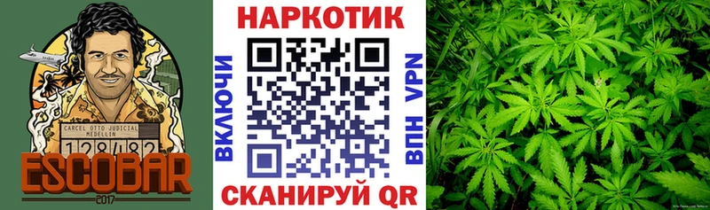 Наркотические вещества Новокузнецк Псилоцибиновые грибы  Меф  Марихуана  Кокаин 