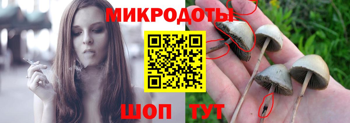 Галлюциногенные грибы ЛСД  Вход с VPN  Галлюциногенные грибы прущие грибы  Новокузнецк 